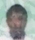 Ghost Portrait